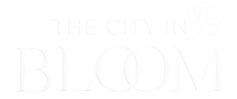 CEO GROUP