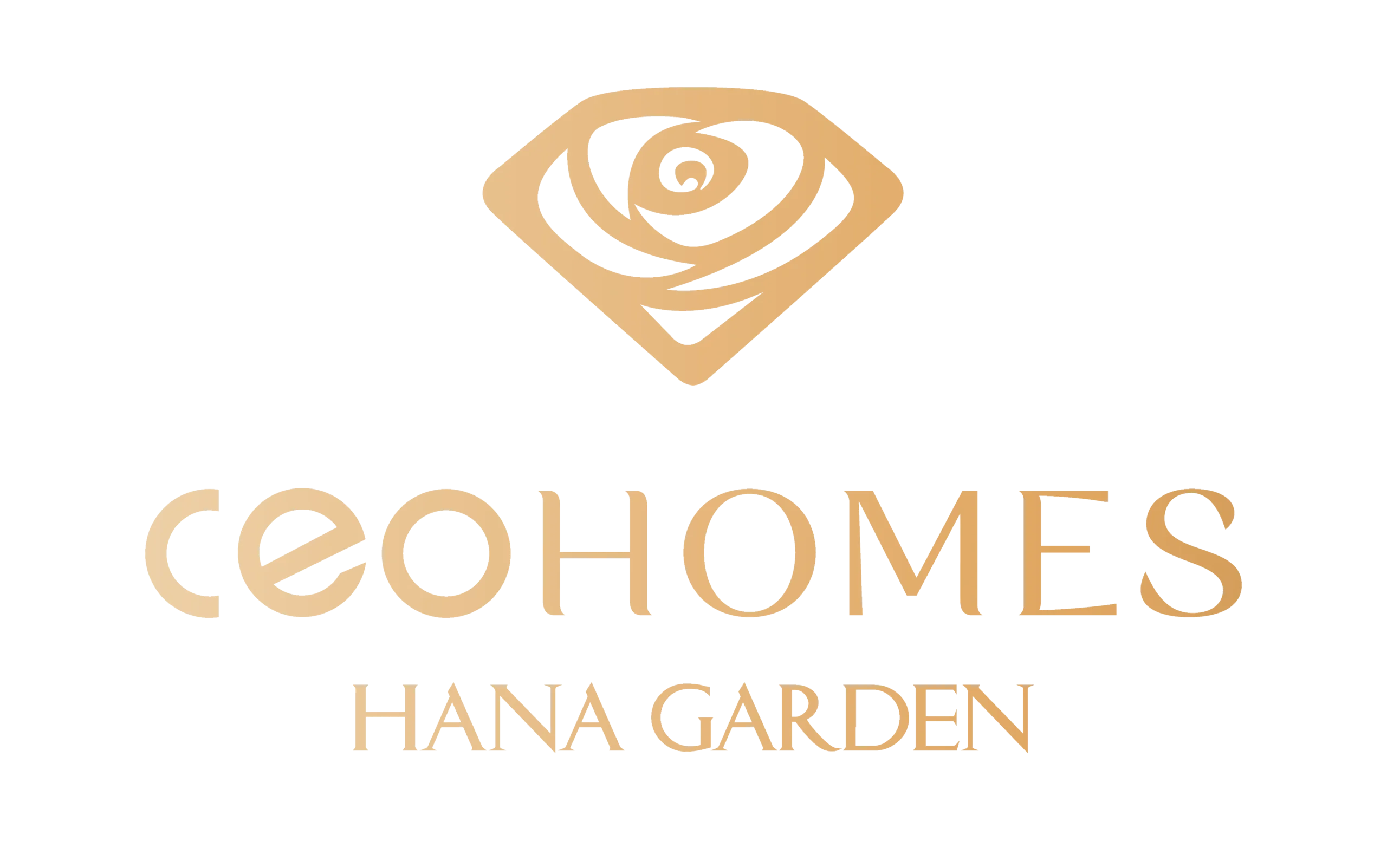 CEO GROUP
